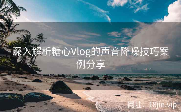 深入解析糖心Vlog的声音降噪技巧案例分享