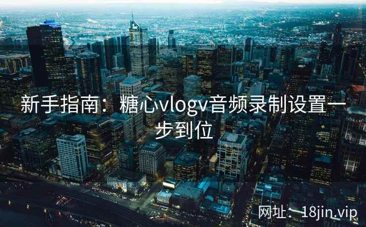 新手指南：糖心vlogv音频录制设置一步到位
