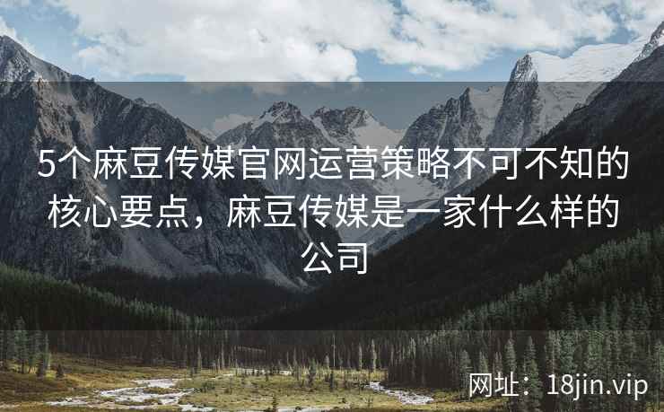 5个麻豆传媒官网运营策略不可不知的核心要点，麻豆传媒是一家什么样的公司