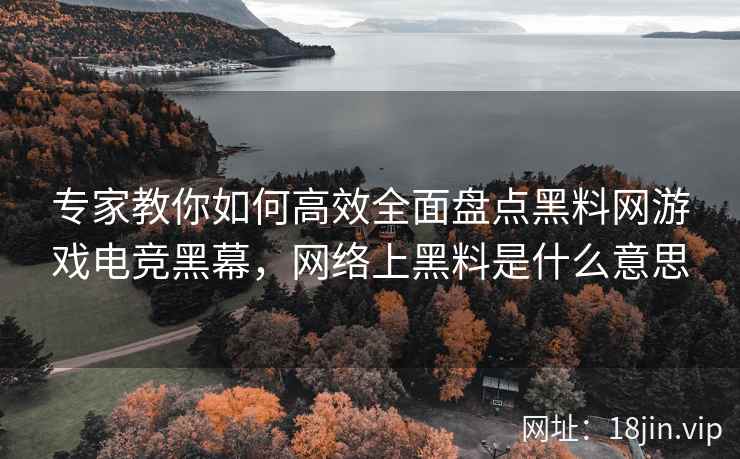 专家教你如何高效全面盘点黑料网游戏电竞黑幕，网络上黑料是什么意思
